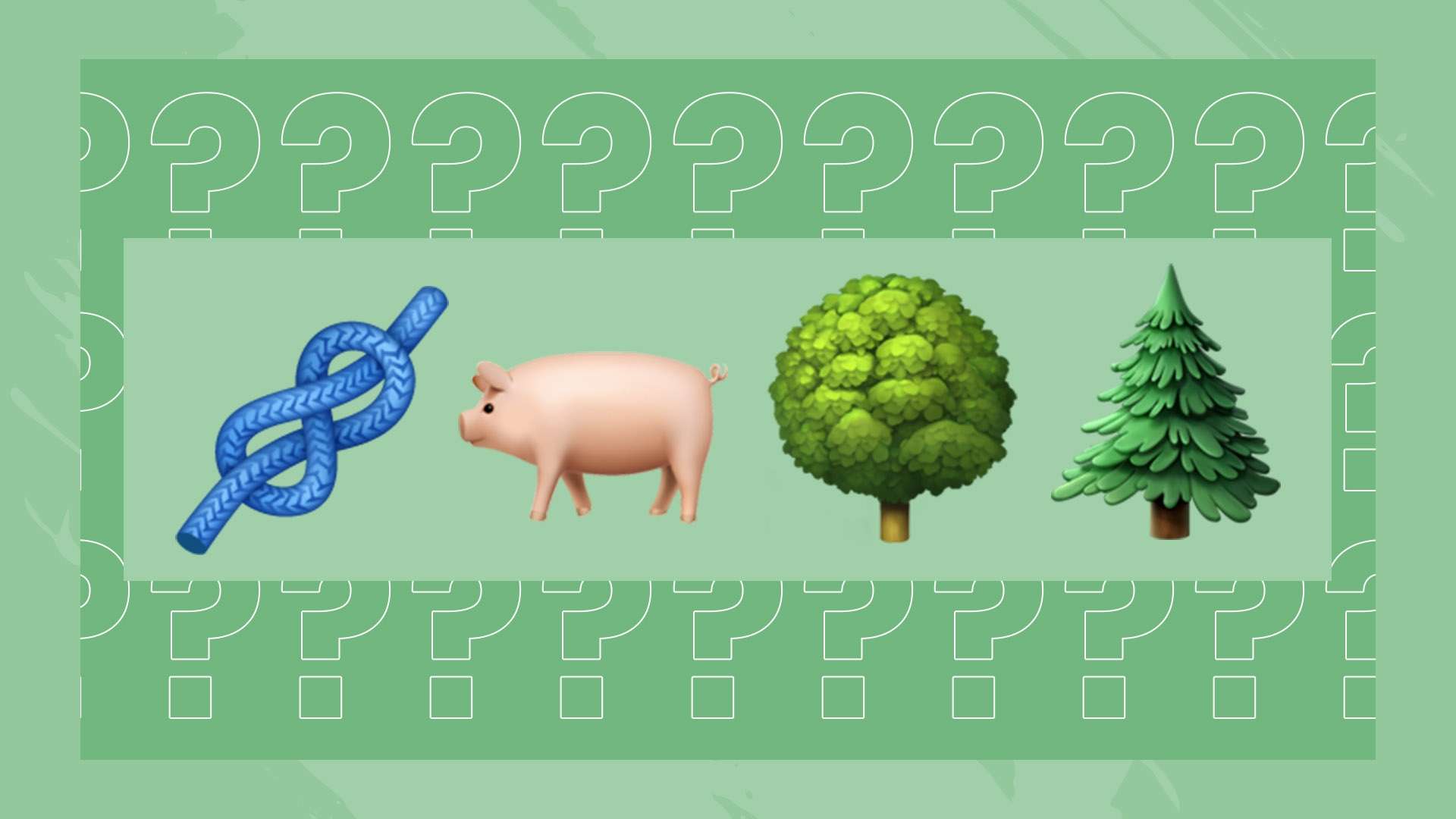 定的合作伙 定的合作伙